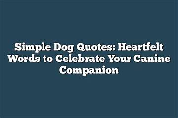 A Heartfelt Letter from Your Canine Companion: a Message from Your Furry Friend