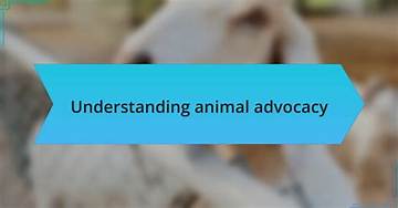 A Journey of Love and Animal Advocacy