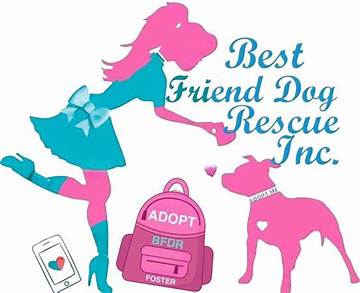Adopt Your Furry Friend: Pink Dog Rescue