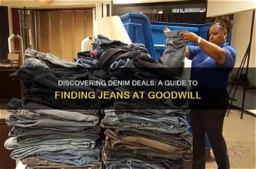 Best Deals on Goodwill Jeans: Unbelievable Savings and Premium Quality