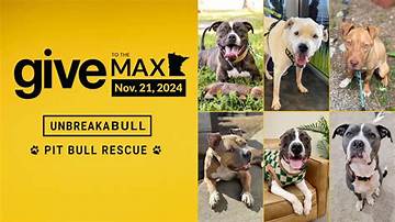 Connecticut's Trusted Pit Bull Rescue: Giving Hope to Loving Canines