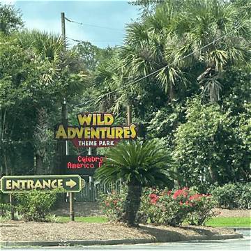 Discover the Wild Side of Valdosta at Wild Adventures