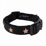 Essential Dog Collars: Comfort and Style for Your Tiny Pup