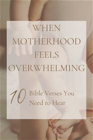 Incredible Motherhood Journey: Jackerman's Warmth in Episode 3