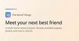 Meet Your Next Best Friend: the Ultimate Guide to Yamal Friends