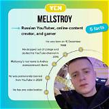 Mellstroy's Net Worth: the Untold Story of Wealth and Success
