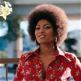Pam Grier Bio Age Net Worth Relationship Career