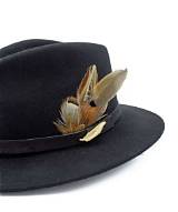 The Latest Fedora with Feathers News: Stay Informed