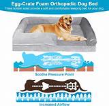 The Ultimate Comfort: Bolster Dog Beds Designed for Large Canine Companions