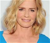 The Ultimate Guide to Elisabeth Shue Tv Shows