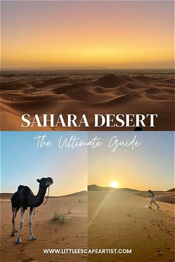 The Ultimate Guide to Sahara Rose Steven Haddad: Insights, Practices, and Transformative Wisdom