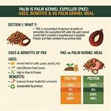 The Ultimate Guide to the Benefits of Yamal Fat
