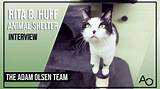 The Untold Story of Ally Huff's Impact and Legacy