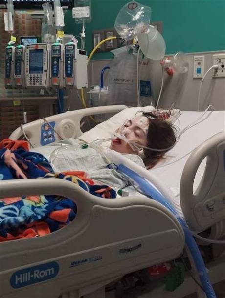 Understanding Anoxic Brain Injury Resulting from Bee Stings