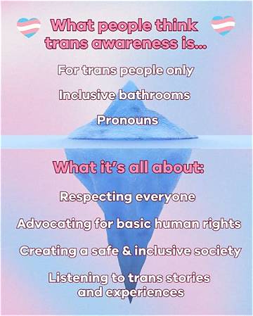 Understanding Trans Kay: Essential Information for Allies