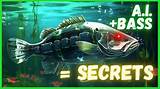 Unlock the Secrets of Anthony Bass's Family: Surprising Insights Revealed