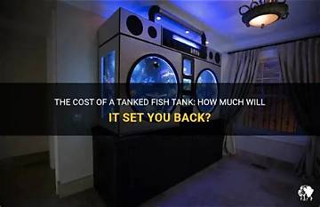 Unveiling the Cost of Tanks on "Tanked": a Comprehensive Breakdown