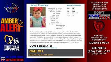 Who Is Harlow Darby Freeman? Amber Alert Canceled After 'Abducted' 9-Month-Old Alabama Girl Is Found ·