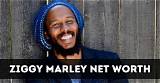 Ziggy Marley’s Journey to Wealth: Exploring His Net Worth